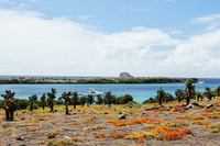 GalapagosSafari Water
