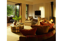 Treehouse Loft Suite LR