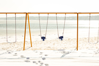 Soundview swings on beach