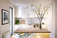 BartlettSuite_Kitchen