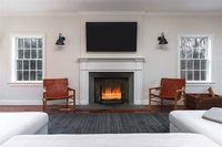 living room fireplace v1