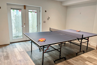 Ping Pong in Basement