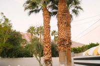 Around the yard, you'll find multiple places to hang out to either chat or sit in silence.
| The Electric Lady by Boutiq Luxury Vacation Rentals | Palm Springs, California