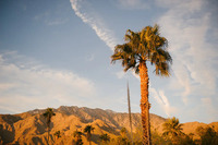 Enjoy the stillness of the afternoon outside - there's nothing like the stillness of the desert.
| The Electric Lady by Boutiq Luxury Vacation Rentals | Palm Springs, California