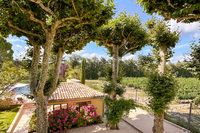 Mas des Vignes _ prestige villa 21